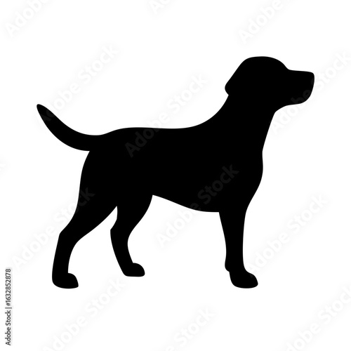 Dog: The Loyal Companion and Beloved Pet