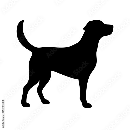 Dog: The Loyal Companion and Beloved Pet