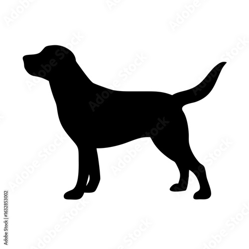 Dog: The Loyal Companion and Beloved Pet