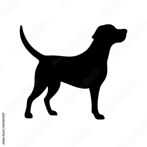 Dog: The Loyal Companion and Beloved Pet