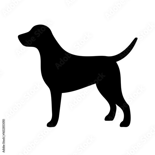 Dog: The Loyal Companion and Beloved Pet