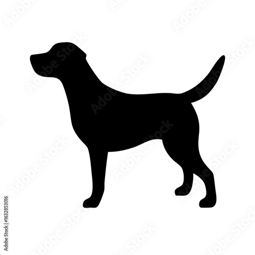 Dog: The Loyal Companion and Beloved Pet