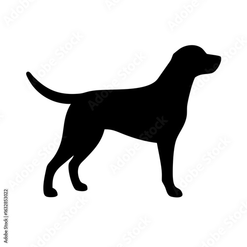 Dog: The Loyal Companion and Beloved Pet