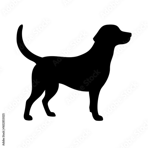Dog: The Loyal Companion and Beloved Pet