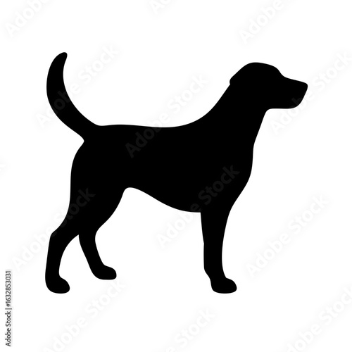 Dog: The Loyal Companion and Beloved Pet