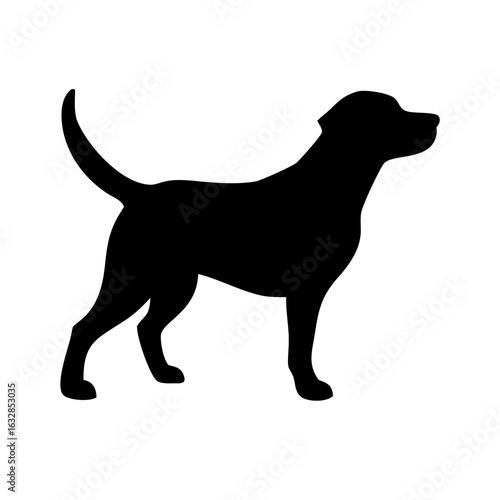 Dog: The Loyal Companion and Beloved Pet