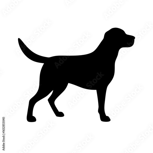 Dog: The Loyal Companion and Beloved Pet