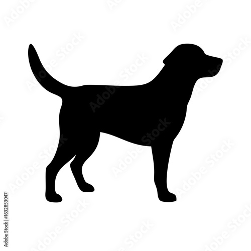 Dog: The Loyal Companion and Beloved Pet