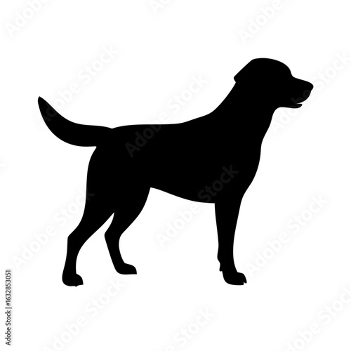 Dog: The Loyal Companion and Beloved Pet