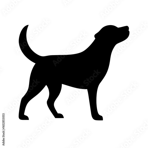 Dog: The Loyal Companion and Beloved Pet