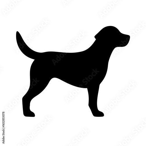 Dog: The Loyal Companion and Beloved Pet