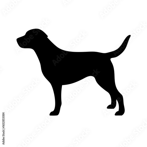 Dog: The Loyal Companion and Beloved Pet