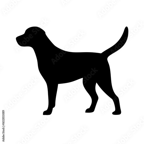 Dog: The Loyal Companion and Beloved Pet