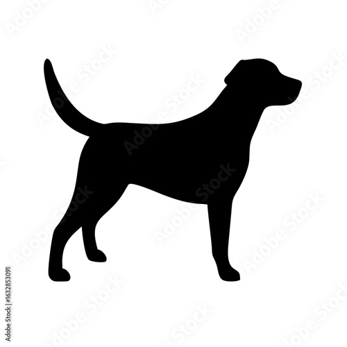 Dog: The Loyal Companion and Beloved Pet