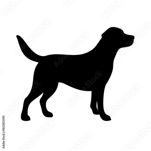 Dog: The Loyal Companion and Beloved Pet