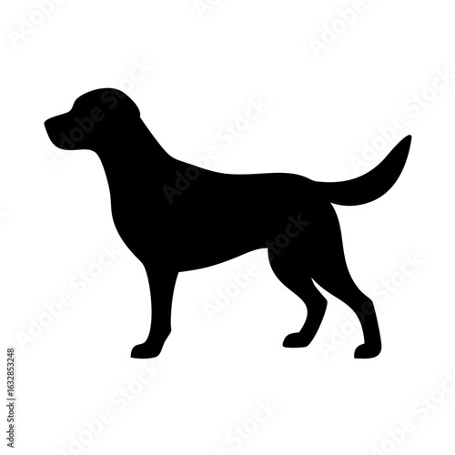 Dog: The Loyal Companion and Beloved Pet