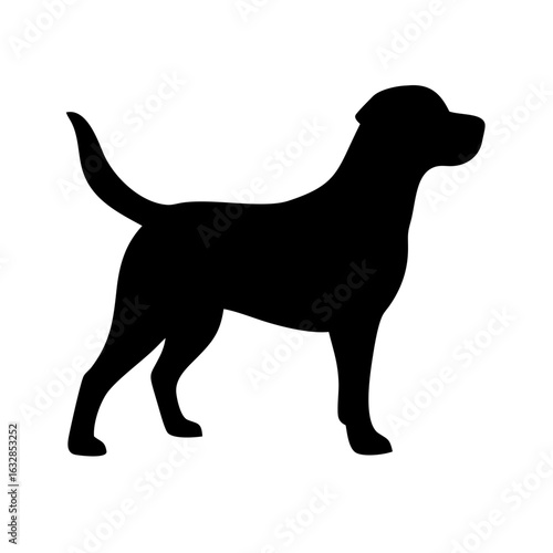 Dog: The Loyal Companion and Beloved Pet