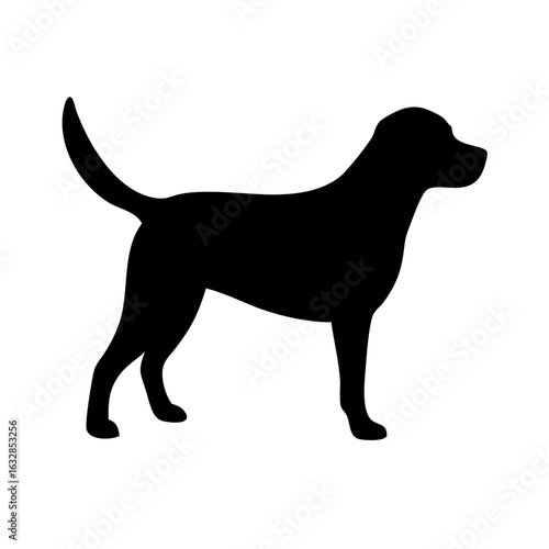 Dog: The Loyal Companion and Beloved Pet