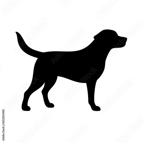 Dog: The Loyal Companion and Beloved Pet