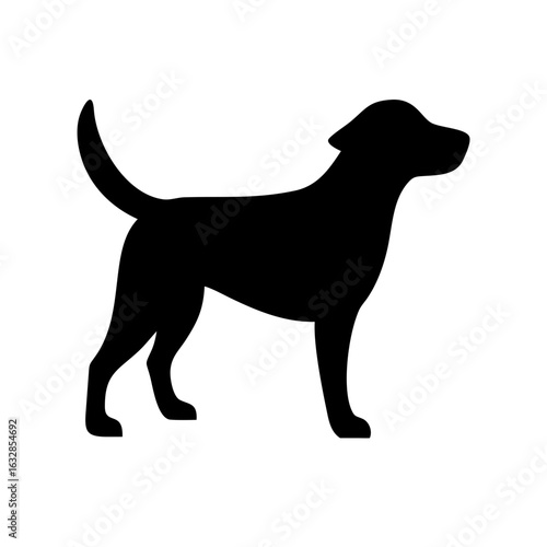 Dog: The Loyal Companion and Beloved Pet