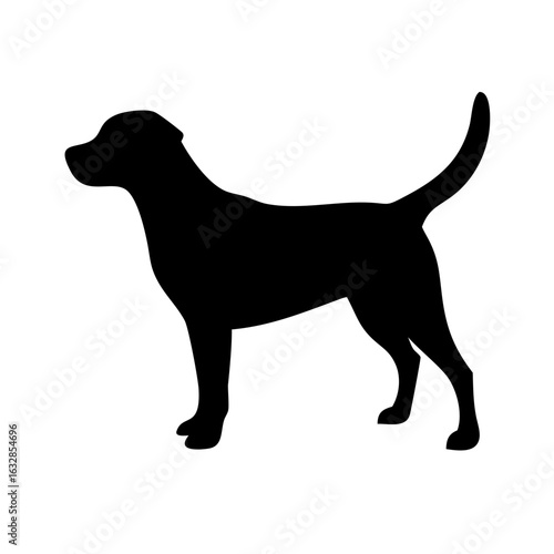 Dog: The Loyal Companion and Beloved Pet
