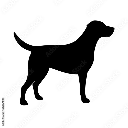 Dog: The Loyal Companion and Beloved Pet