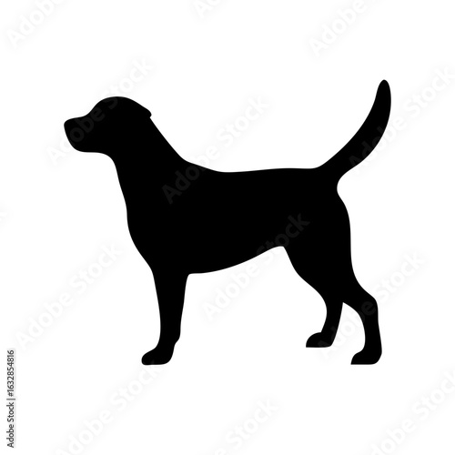 Dog: The Loyal Companion and Beloved Pet