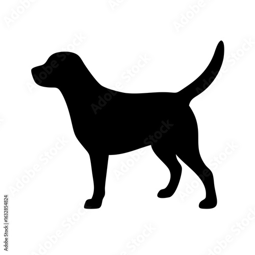 Dog: The Loyal Companion and Beloved Pet
