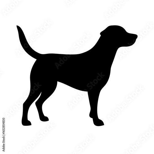 Dog: The Loyal Companion and Beloved Pet