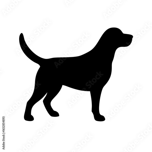 Dog: The Loyal Companion and Beloved Pet