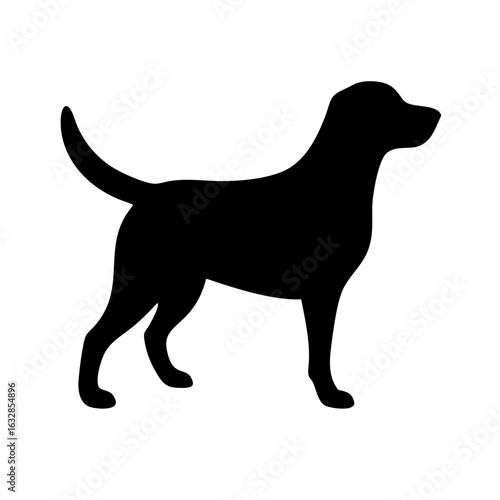Dog: The Loyal Companion and Beloved Pet