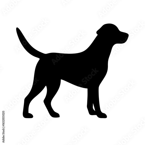 Dog: The Loyal Companion and Beloved Pet