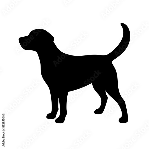 Dog: The Loyal Companion and Beloved Pet