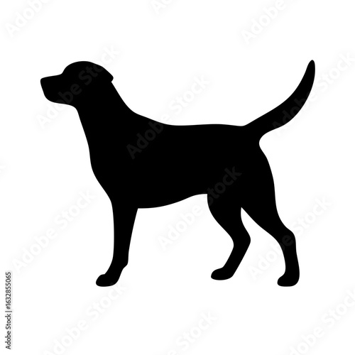 Dog: The Loyal Companion and Beloved Pet