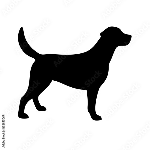 Dog: The Loyal Companion and Beloved Pet