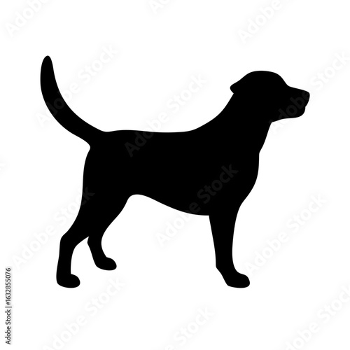 Dog: The Loyal Companion and Beloved Pet