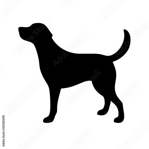 Dog: The Loyal Companion and Beloved Pet