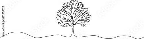 Simple tree one line art .Vector silhouette of growing tree. Hand drawn tree. Growing  plant continuous line .Plant with roots single line.