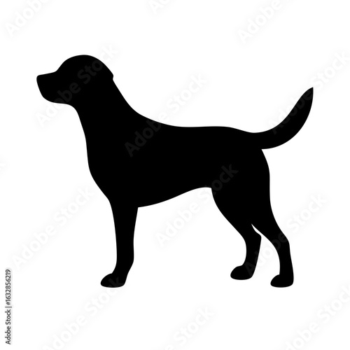 Dog: The Loyal Companion and Beloved Pet