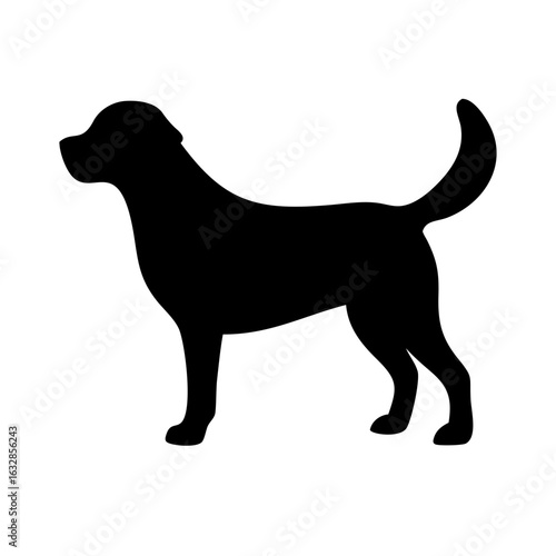 Dog: The Loyal Companion and Beloved Pet