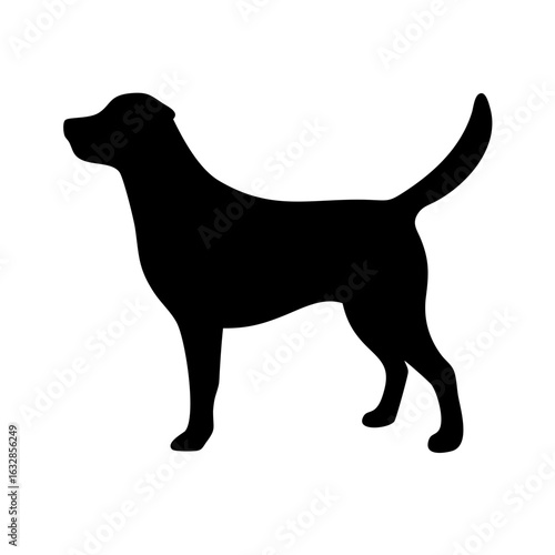 Dog: The Loyal Companion and Beloved Pet