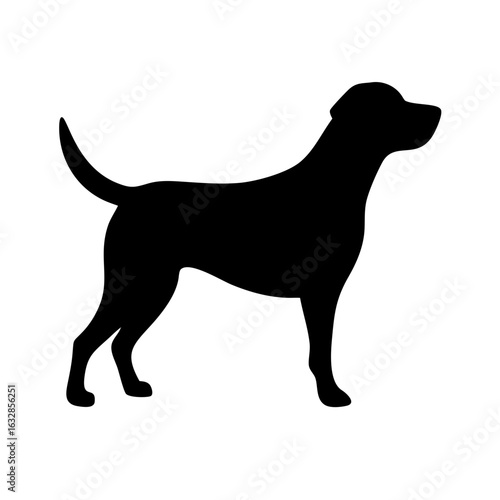 Dog: The Loyal Companion and Beloved Pet