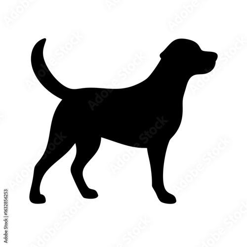 Dog: The Loyal Companion and Beloved Pet