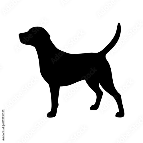 Dog: The Loyal Companion and Beloved Pet