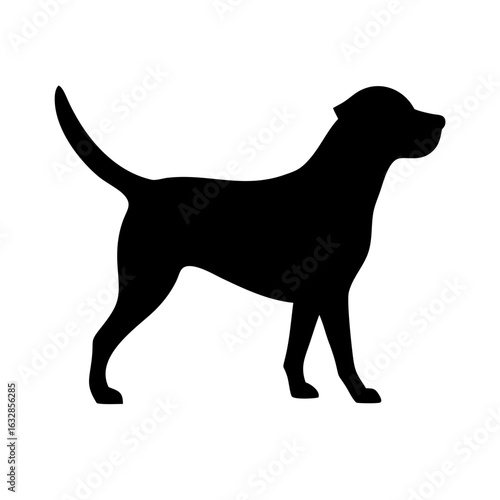 Dog: The Loyal Companion and Beloved Pet