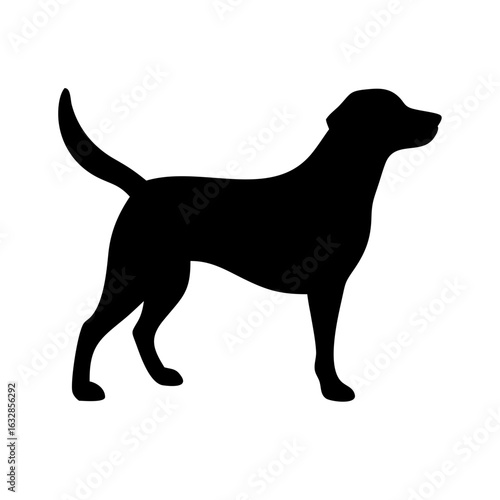 Dog: The Loyal Companion and Beloved Pet