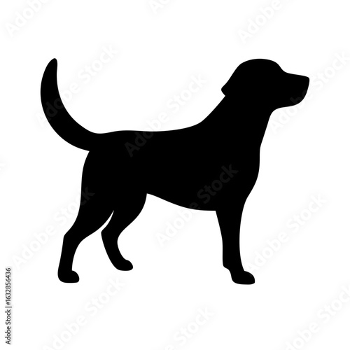Dog: The Loyal Companion and Beloved Pet