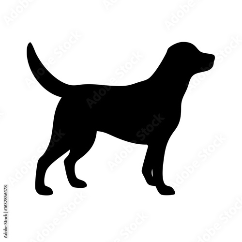 Dog: The Loyal Companion and Beloved Pet