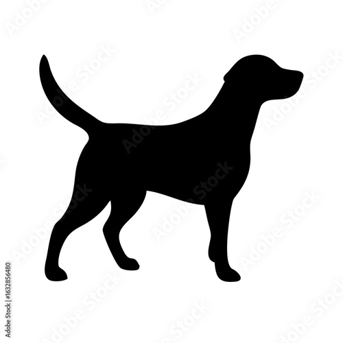 Dog: The Loyal Companion and Beloved Pet