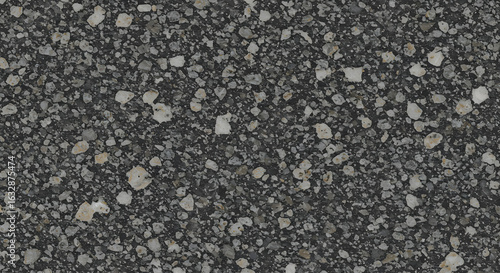 Detailed textural view reveals a dark, speckled surface with embedded light colored irregular
